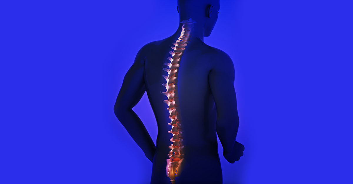 Spine Diseases